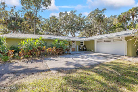 Pine Tree, EDGEWATER, FL 32132