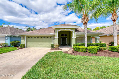 Areca Palm, PORT ORANGE, FL 32128