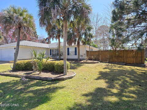 Pelican, PANAMA CITY, FL 32408