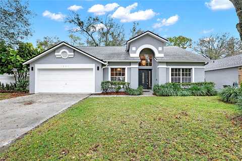 American Elm, ALTAMONTE SPRINGS, FL 32714