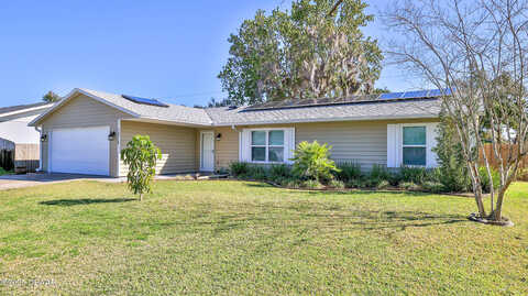 Umbrella Tree, EDGEWATER, FL 32132