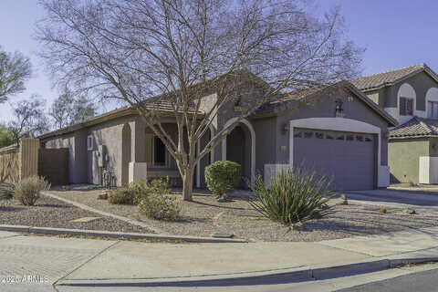 Prickly Pear, CASA GRANDE, AZ 85122