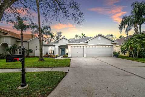 Mountbatten, TAMPA, FL 33626