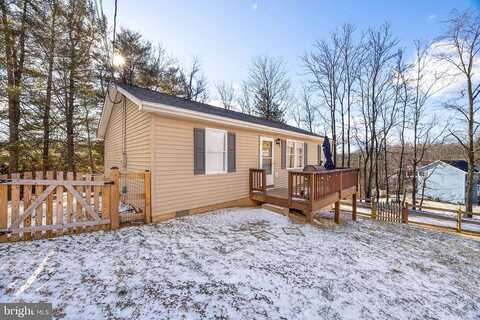 Buffalo, WINCHESTER, VA 22602