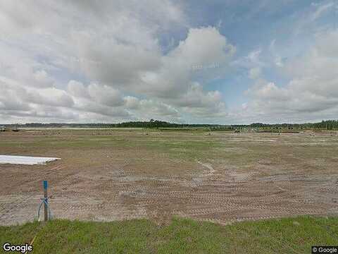 Callisia, ODESSA, FL 33556