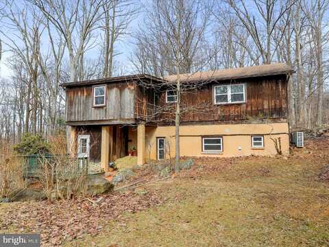 Old Log, LINDEN, VA 22642