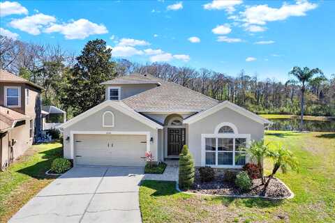 May Apple, LAND O LAKES, FL 34638