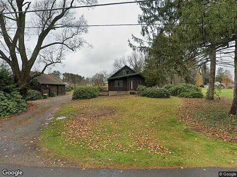Buttercup, BUTLER, PA 16001