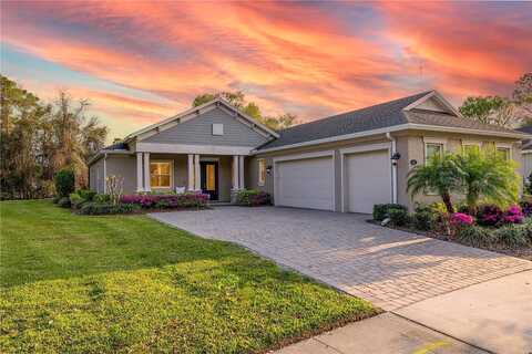 Wisteria, DELAND, FL 32724