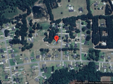 Wigeon, SPRINGFIELD, GA 31329