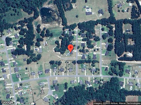 Wigeon, SPRINGFIELD, GA 31329