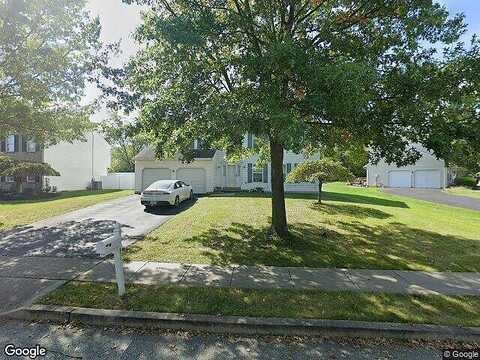Scarlet Oak, CHALFONT, PA 18914