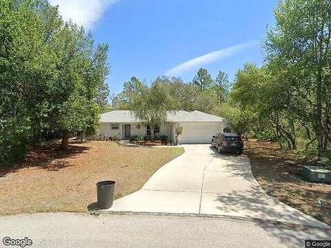 Coconut, HOMOSASSA, FL 34446