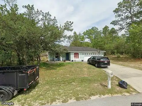 Maltese, CITRUS SPRINGS, FL 34433