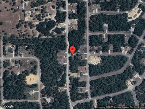 Maltese, CITRUS SPRINGS, FL 34433