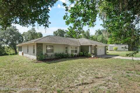 Shark, FLORAL CITY, FL 34436