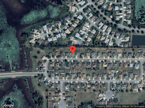 Great Egret, LEESBURG, FL 34748