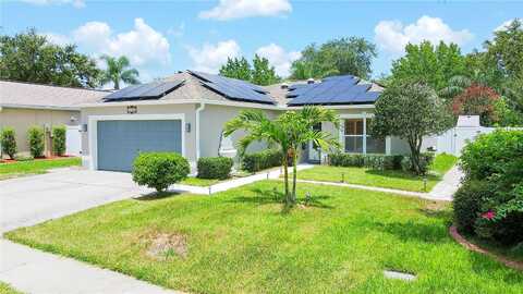 Horseshoe Pick, VALRICO, FL 33594