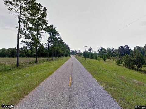 Canady Bridge, TWIN CITY, GA 30471