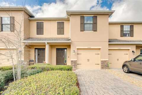 Downy Birch, LONGWOOD, FL 32750
