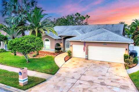 Fox Chapel, LUTZ, FL 33549