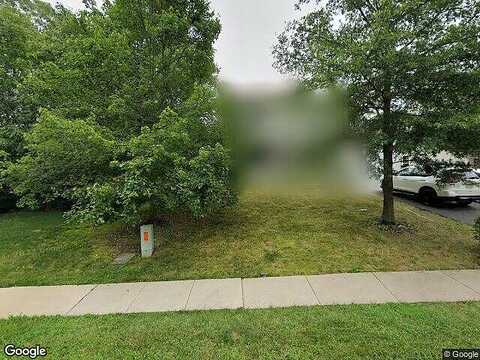 Ivy, ZIEGLERVILLE, PA 19492