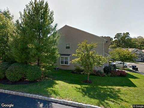 Honey Locust, PHOENIXVILLE, PA 19460