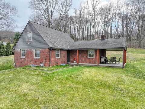 Maple, EAST BRADY, PA 16028