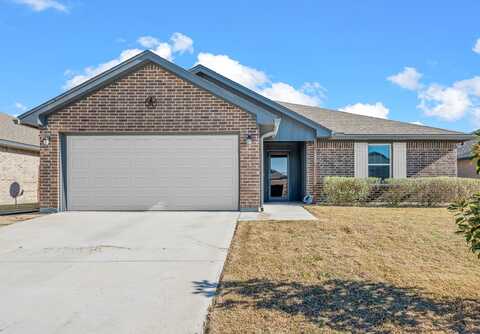 Paso Fino, WACO, TX 76706