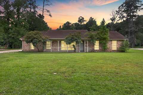 Pinemont, SOUR LAKE, TX 77659