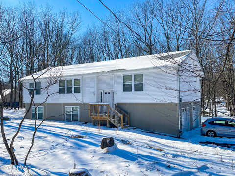 Primrose, MILFORD, PA 18337