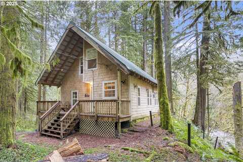 Pinewood, RHODODENDRON, OR 97049