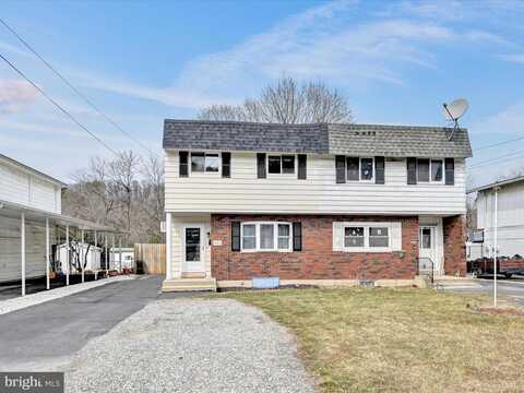 Bacon, POTTSVILLE, PA 17901