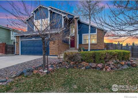 Daphne, BROOMFIELD, CO 80020