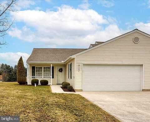 Chami, SPRING GROVE, PA 17362