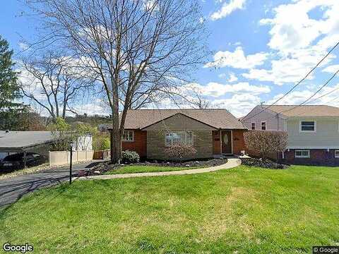 Blue Jay, PITTSBURGH, PA 15243