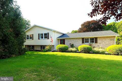 Blue Spruce, BELLEFONTE, PA 16823