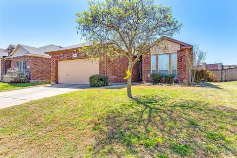 Day Dream, HASLET, TX 76052