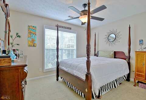 Ficus, FAYETTEVILLE, GA 30215