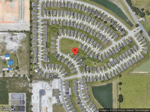 Honey Bell, WINTER HAVEN, FL 33880