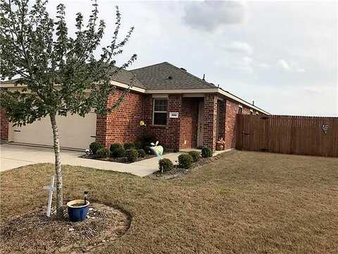 Elm, ANNA, TX 75409