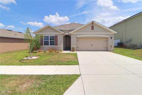 Panda, DAVENPORT, FL 33837
