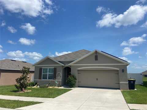 Panda, DAVENPORT, FL 33837
