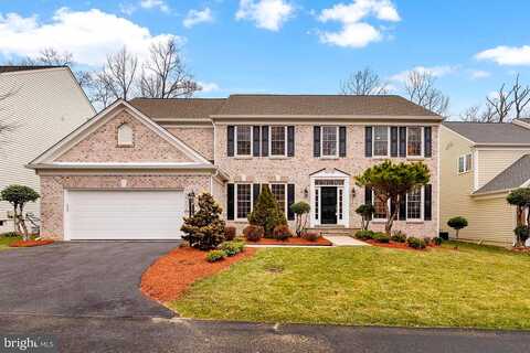 Paper Birch, LORTON, VA 22079
