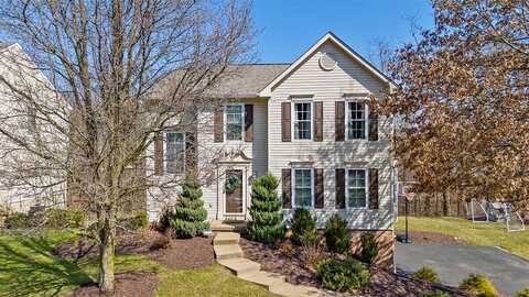 Weeping Willow, CORAOPOLIS, PA 15108