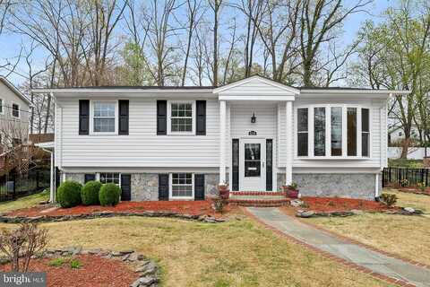Greeley, SPRINGFIELD, VA 22152