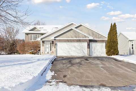 Henry, CIRCLE PINES, MN 55014
