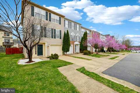 Frankfurt, WOODBRIDGE, VA 22191