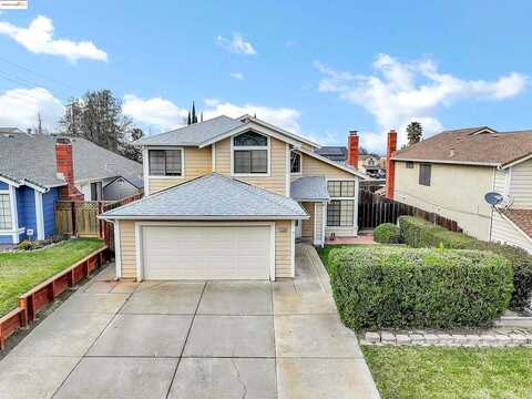 Lobelia, ANTIOCH, CA 94531