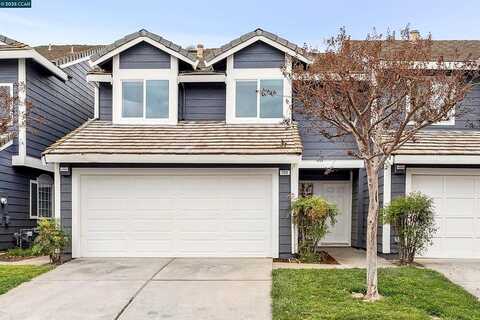 Heron, PITTSBURG, CA 94565